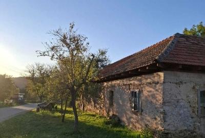 Casa Goruia cu teren,gradina,livada de pruni si pădure - 1
