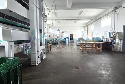 Hala industriala pentru productie si depozitare,de vanzare, langa Oradea,Bihor - 2