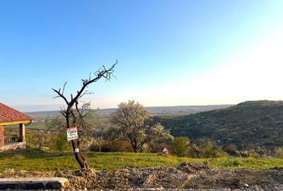 Teren intravilan de vânzare – Gheorghe Doja | Panoramă superbă - 1