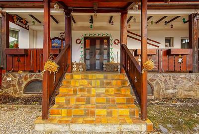 Cabana la Flo, 8 cam,P + M, teren 888 mp oportunitate de investitie ! - 12