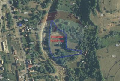 Teren 10.000 mp Calatele – Apuseni, langa rau, ideal investitie turism - 22