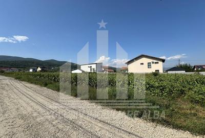 Teren intravilan | De vanzare | 5000 mp | 150 ml deschidere | Micesti - 3