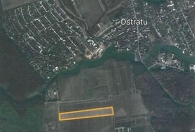 Teren Ostratu-Tamasi // OPORTUNITATE INVESTITII - 2