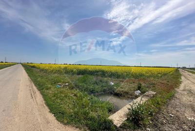 Teren 545,000mp Dragomiresti-Vale - 11