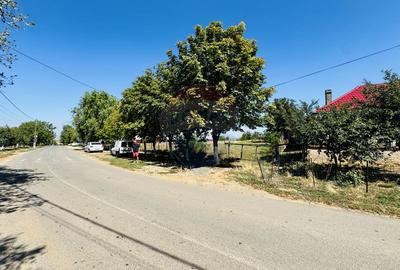 Teren 2,841mp Apateu / Strada Principala langa Biserica Ortodoxa - 1