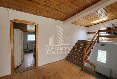 Casa ideala pentru birouri/alte activitati Mehala - 11