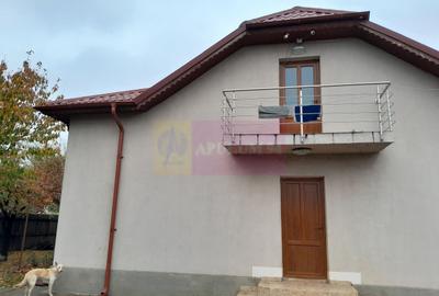 DE VANZARE CASA IN COM. BRANESTI (IF) - 32