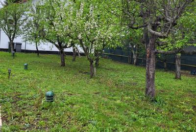 Casă cu 7 camere în Snagov