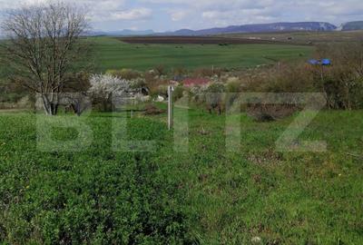 Teren Construcții intravilan de 1500 mp, în Vest