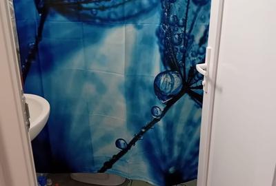 Garsoniera de inchiriat - Tiglina 1, Strada Brailei - 9