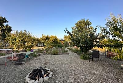 Proprietate Deosebita 2019 Palazu Mare  P+1+M +CASA  NR 2 - 2 APART 1400mp Teren - 7