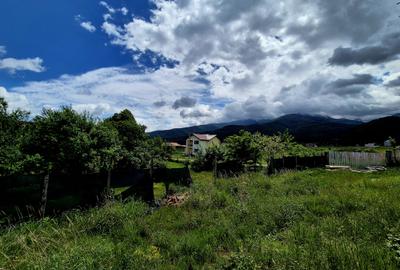 Oportunitate investitie camin seniori/pensiune/retreat Sambata de Sus - 15