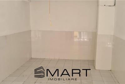 Spatiu Depozitare Avram Iancu - 7