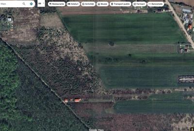 `Teren langa padure, Snagov - Strada Parcului - 5