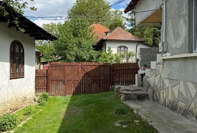 2 Case + teren 1390 mp langa parcul central Provita de Sus - 45