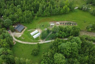6,2 ha + business turistic activ | Munții Apuseni - 6