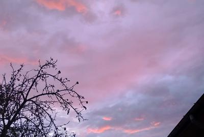 Singureni Stejaru casa intre paduri, cu teren 1600mp - 17