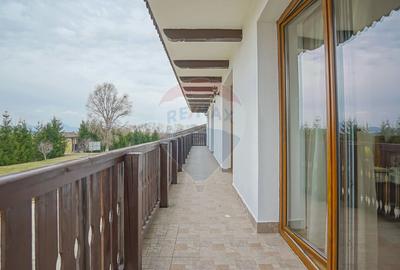 Complex Turistic Panicel, DN73A - 56