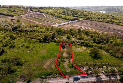 RECO Teren, zona Gheorghe Doja Saldabagiu de Munte, 1129 mp, panorama - 8
