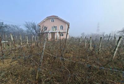 Casă individuală cu 5 camere în Galata