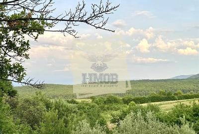 Teren intravilan 1080 mp zona Tropinii Noi - 1