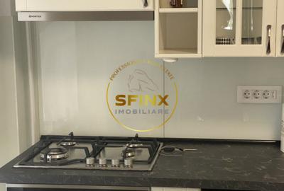 APARTAMENT DE 4 CAMERE DE INCHIRIAT- C.A.ROSETTI - 10