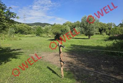 Teren intravilan de vânzare în Malnaș - 4