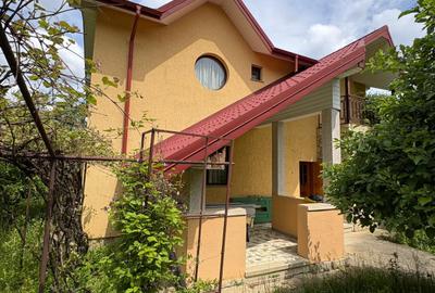 Proprietate deosebita in Luncani | Casa P+M | Teren 2553 mp - 9