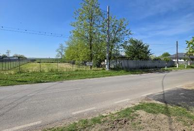 Teren intravilan 1000 mp la șoseaua principală – Cuza Vodă - Calarasi - 4