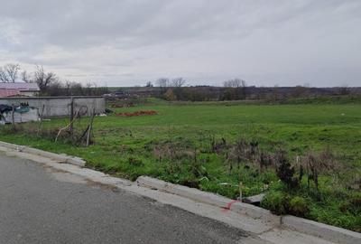 Teren Mischii - 760 mp la asfalt  , toate utilitatile - 1