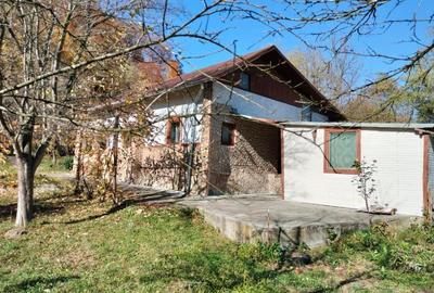Iedera, Cricovul Dulce, casa de vanzare 90mp, teren 2450mp - 14