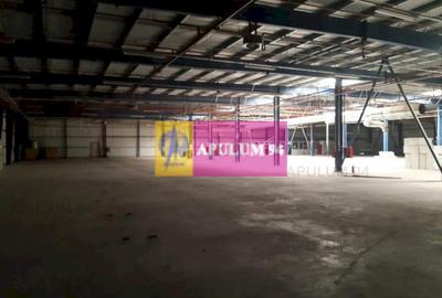 Spatiu Logistic langa Bucuresti Hala 5000 mp - 13
