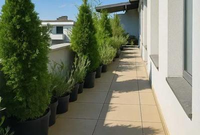 Penthouse - 5 camere - decomandat - Mihai Bravu - 6