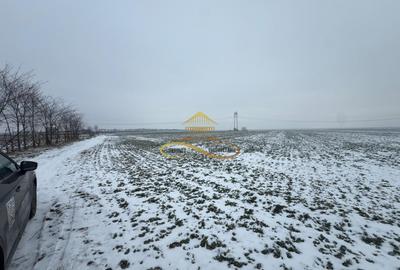 Teren agricol extravilan in Itesti de vanzare - 6