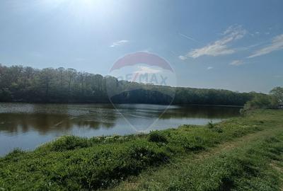 Teren Construcții intravilan de 3872 mp, în Brănești