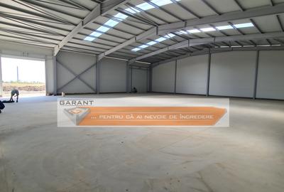 Hala noua Pitesti depozit-distributie, S=550 mp, H=6m - 5