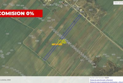 Teren agricol 12.500 mp | Deschidere directă DN61 | Dublu acces | Corbii Mari - 2