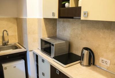 AP 2 CAM | VICTORIEI | P-TA ROMANA | MAGHERU | METROU | PET FRIENDLY - 4