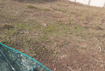 Teren intravilan - Compozitori/Primo - 250.000 euro (Cod E6) - 2