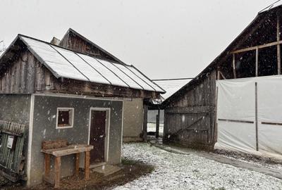 Vand gospodarie taraneasca traditionala - 2