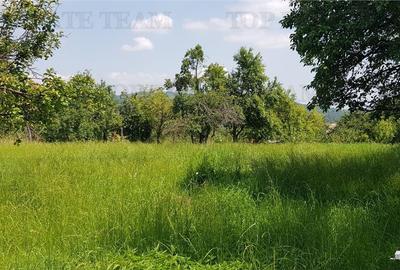 Teren intravilan Campulung  2.957 mp cu livada, anexa si acces utilitati, Campu - 4