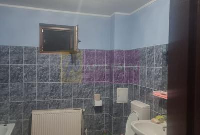 DE VANZARE CASA IN COM. BRANESTI (IF) - 27