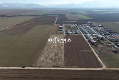 Parcela pentru Constructii / Utilitati / Zona Proxim Residence - 6