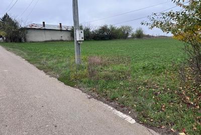 Teren Comana- strada Funieru. - 1