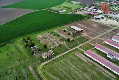 Teren intravilan cu suprafata de 58.340 mp, in Sanmartinul Sarbesc - 20