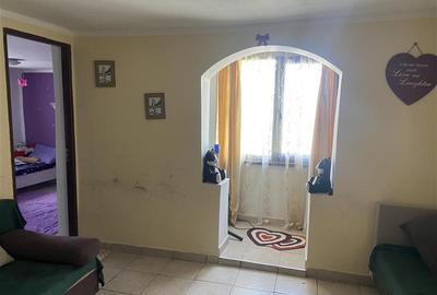 Casa de vanzare in sat Jorasti , suprafata 107 mp , teren 913 mp , imbunatatita - 8