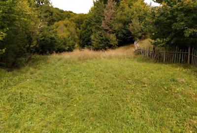 TEREN DE VANZARE IN SLANIC MOLDOVA - 1