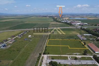 Teren pentru dezvoltare rezidentiala | Intravilan | Necesar PUZ - 3
