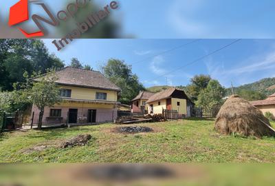 Casa deosebita in zona turistica pitoreasca Valea Ariesului - 7