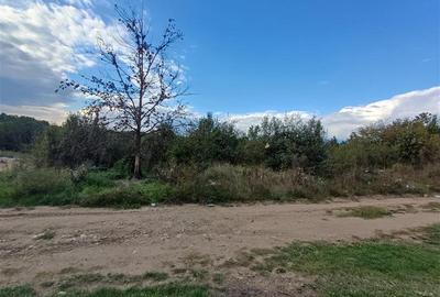 Resita, Teren Intravilan 2819 Mp., 16 Euro Mp., Calea Caransebesului, Km. 6 - 7